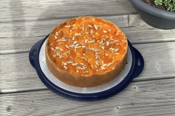 Schmandkuchen mit Mandarinen