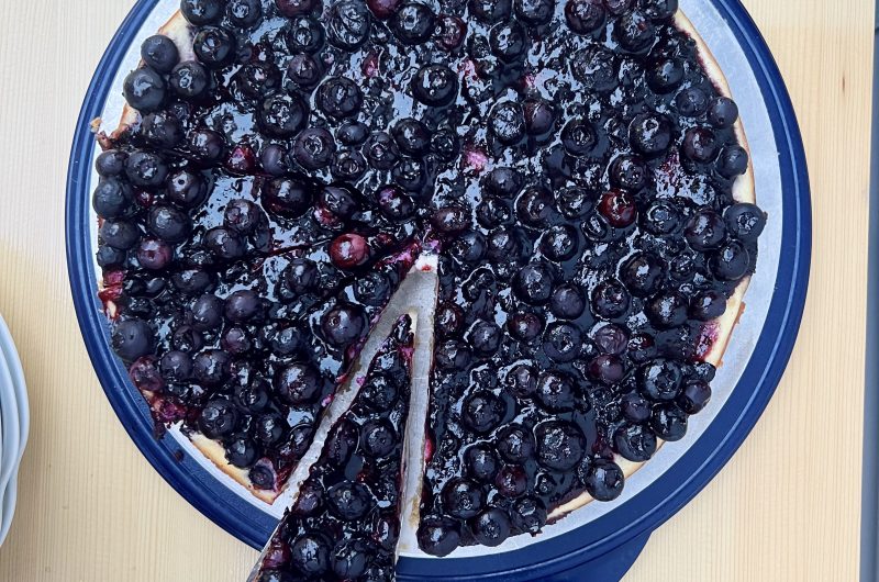 Cheesecake mit Blaubeeren und Biskuitboden